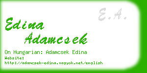 edina adamcsek business card